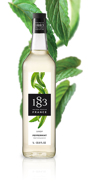 Maison Routin 1883 Flavoured Syrup