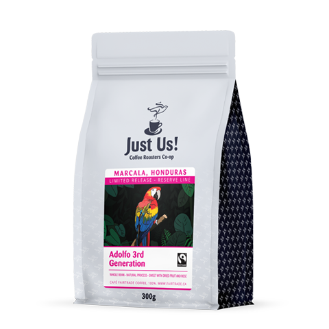 Adolfo 3rd Generation