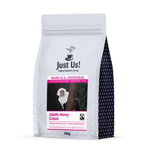 Adolfo Honey Catuai