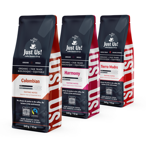 Medium Roast Discovery Pack
