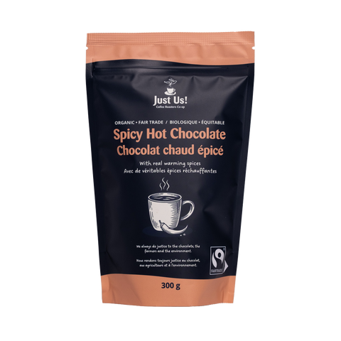 Spicy Hot Chocolate