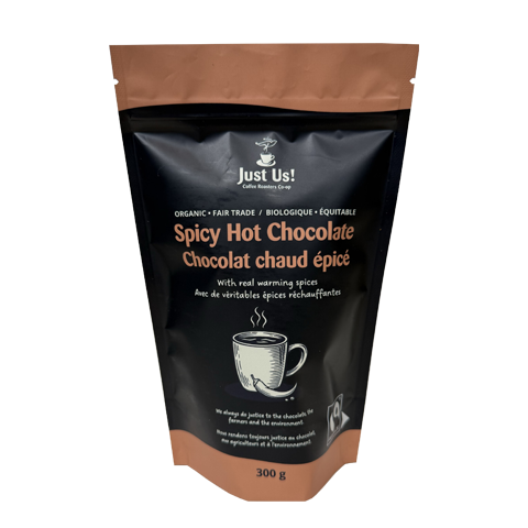 Spicy Hot Chocolate