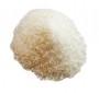 Organic Cane Sugar